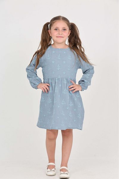 Toontoy Girl's Floral Embroidered Dress