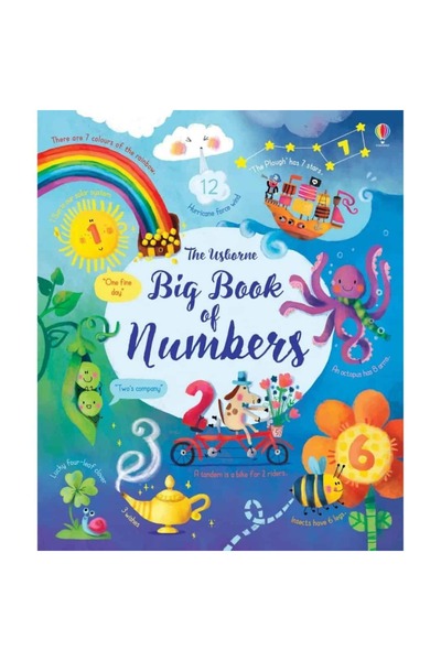 Usborne Learn and read activity book - Big Book of Numbers