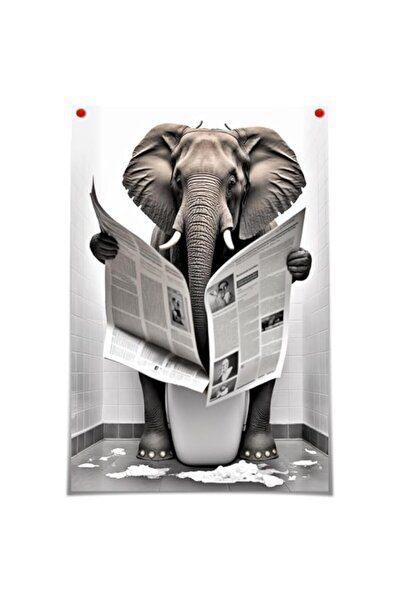 Generic Funny Elephant Bathroom Canvas Wall Art Elephant Reading Newspapers o...