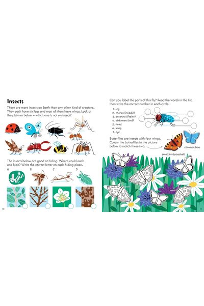 Usborne Children's book, Usborne, Activity Book Nature, 4+ years