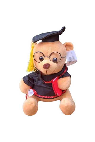 OEM Graduation Teddy Bear 22cm
