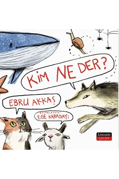 Marvel What Does Kim Say?