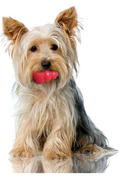 Kong Classic X-Small 6Cm (Allah rızası için 6 cm ürün) ona göre sipariş verin...