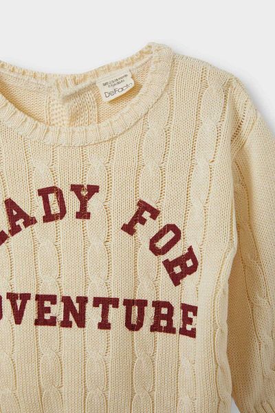 DeFacto Baby Boy Crew Neck Printed Sweater F2578A525Au