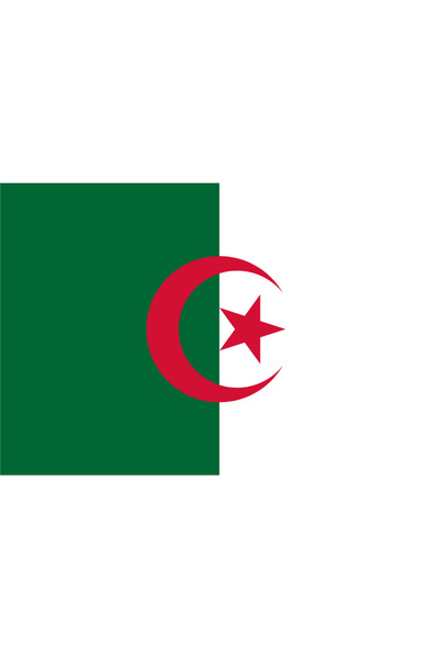 Ti Play Pictură de perete cu steagul țării ALGERIA 45x30CM Pictură din PVC fă...