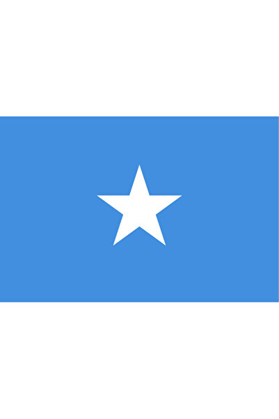 Ti Play Pictură de perete cu steagul țării SOMALIA 45x30CM Pictură din PVC fă...