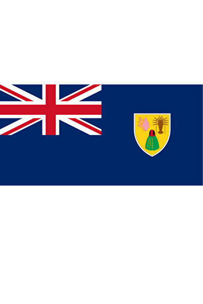 Ti Play Pictură de perete cu steagul țării Insulele Turci și Caicos 45x22CM P...