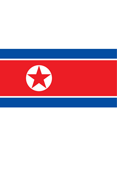 Ti Play North Korea Country Flag 45X22Cm Wall Painting Unframed Pvc Painting