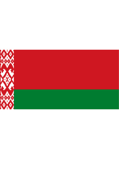 Ti Play ΛΕΥΚΗ ΡΩΣΙΑ ΣΗΜΑΙΑ ΕΠΑΡΧΙΑΣ 45x22CM ΖΩΓΡΑΦΙΚΗ ΤΟΙΧΟΥ ΧΩΡΙΣ ΠΛΑΙΣΙΟ ΖΩ...