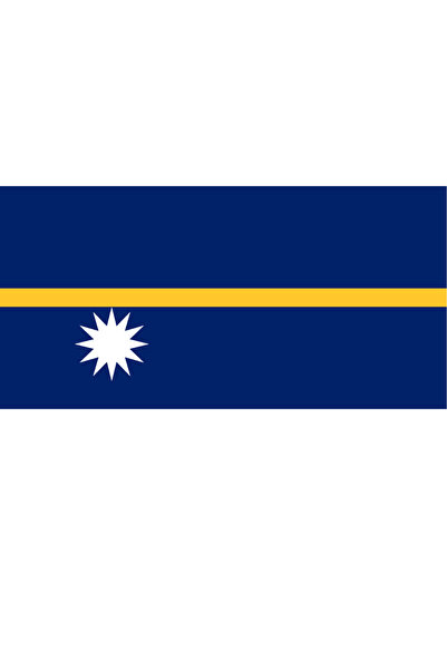 Ti Play Pictură de perete cu steagul țării NAURU 45x22CM Pictură din PVC fără...