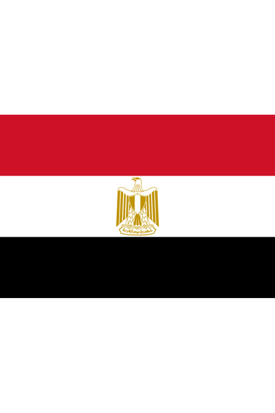 Ti Play Pictură de perete cu steagul Egiptului 45x30CM Pictură din PVC fără c...