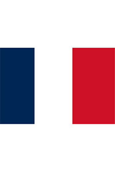 Ti Play NOUA STEAGULĂ DEȚELEEAȚĂ A PAȚULUI CALEDONIA 45x30CM TABLA DE PERETE ...