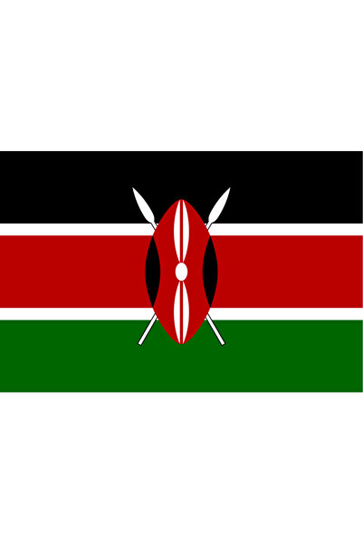 Ti Play Pictură de perete cu steagul țării KENYA 45x30CM Pictură din PVC fără...