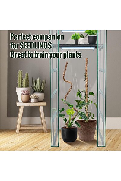 OEM Adjustable poles for supporting houseplants, set of 3x76 cm