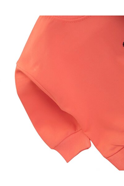 voyyo kids baby Baby Boy Seasonal Seagull Embroidered Sweatshirt, Striped Pants 2-Piece Bottom Top Set