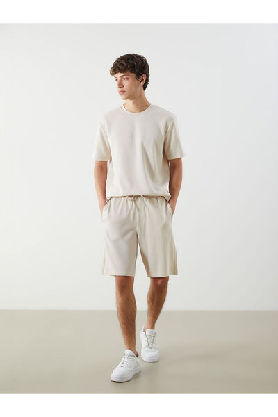 LC Waikiki Standard Fit Men's Shorts
