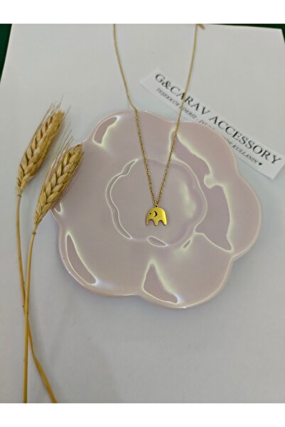 G&CARAV ACCESSORY Gold Minimal Zincir Fil Sallantılı Çelik Kolye 45 cm