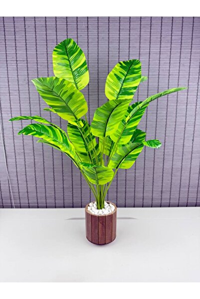 Bahçem Yapay Yapraklı Starliçe Muz Desenli Çizgili Yaprak Ahşap Saksılı 65cm ...