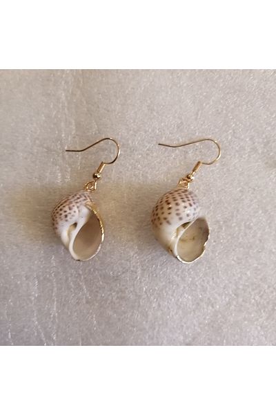 Butik Tülin Women's Authentic Handmade Natural Seashell Snail Beige Gold Gilded Earrings 4X1.5 cm Indian