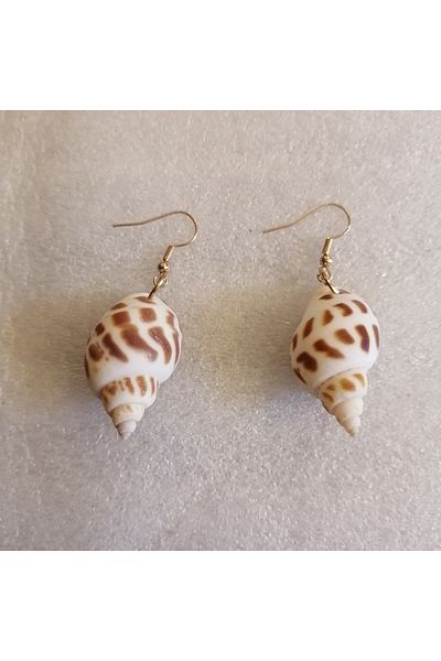 Butik Tülin Women's Authentic Handmade Natural Seashell Snail Beige Earrings 5.5X1.7 cm Indian
