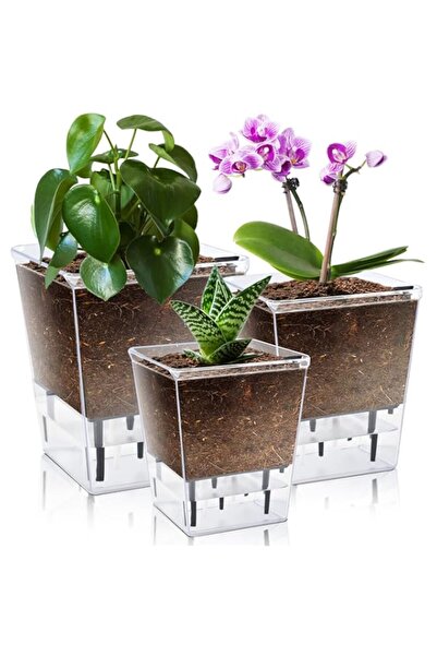Generic SYOSI Self Watering Planters for Indoor Plants 3 Pack Clear Flower Po...
