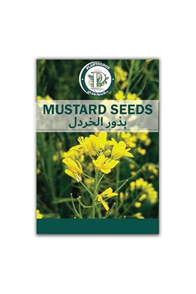 Generic بذور الخردل للزراعة - بذور طبيعية للزراعة - بذور طازجة للحديقة - بذور...