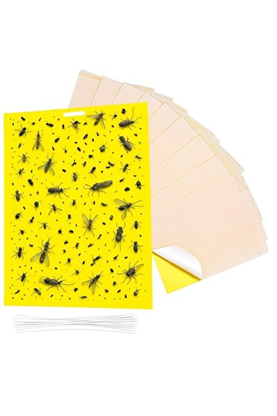 Generic مصائد ورقية لاصقة صفراء مزدوجة الجوانب من لافيش لقتل الحشرات الطائرة ...