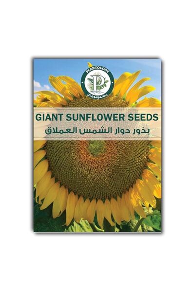 Generic بذور عباد الشمس العملاقة للزراعة - بذور عباد الشمس ناطحات السحاب للزر...