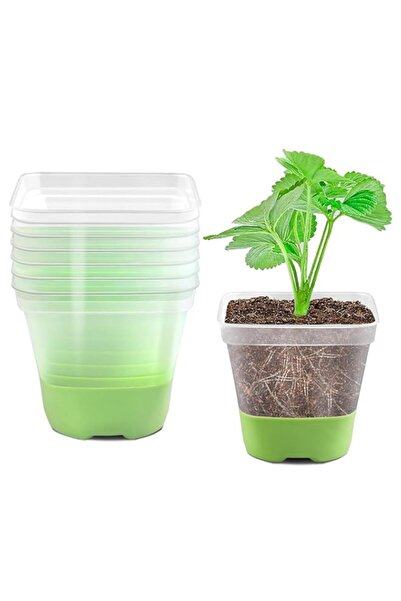 Generic 6 عبوات من أواني الحضانة الشفافة المقواة مقاس 3 بوصات مع قاعدة من الس...