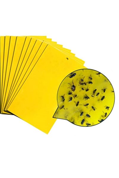 Generic لوحة حشرات لاصقة من JIAAN، 10 قطع، لوحة لاصقة، مصائد ذباب لاصقة صفراء...