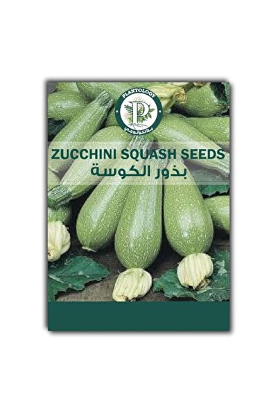 Generic Zucchini Seeds, Grey Zucchini Squash Seeds for Planting - Vegetable S...