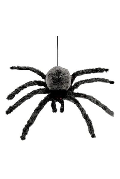 Generic حفلة سحرية في الهالوين العنكبوت الفروي