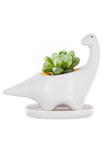 Generic أصيص زهور خزفي أبيض على شكل ديناصور من تازويق، أصيص 5 بوصات، صندوق نا...