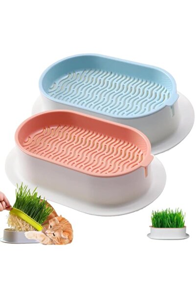 Generic أزوني، وعاء زراعة عشب القطط، صينية إنبات بذور عشبة القمح، عشب القطط ا...