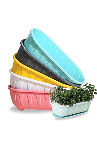 Generic أحواض نباتات متعددة الألوان بتصميم باندا مع فتحات تصريف وصواني، 5 قطع...