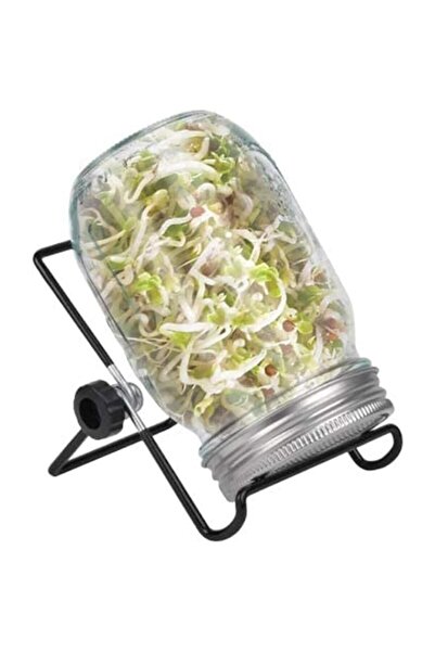 Generic مجموعة برطمانات الإنبات، برطمانات ماسون واسعة الفم سعة ربع جالون مع أ...