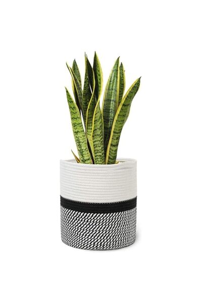 Generic سلة نباتات من SEEWONDER مصنوعة من حبل قطني، وعاء زهور، وعاء زرع داخلي...