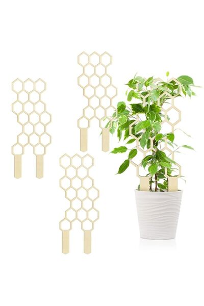 Generic مجموعة من 3 تعريشات صغيرة للنباتات المتسلقة المزروعة في أوعية، حامل ت...