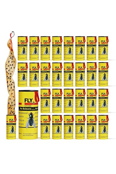 Generic Fly Traps for Indoors & Outdoors, Sticky Fly Paper Strips, Fruit Fly ...