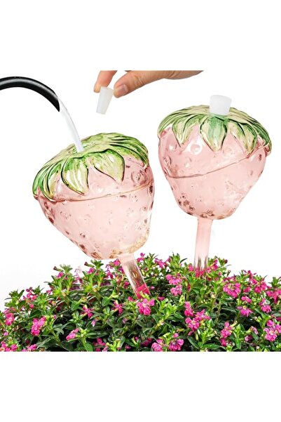 Generic وعاء زراعة زجاجي ذاتي الري من BIGTHREE، كرات ري للنباتات، قطعتان من ك...