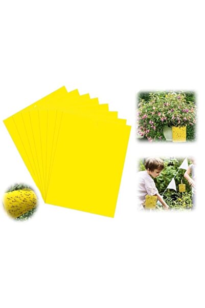 Generic مصائد ذباب لاصقة مزدوجة الجوانب (أصفر، 15×20 سم، تتضمن أربطة ملتوية) ...
