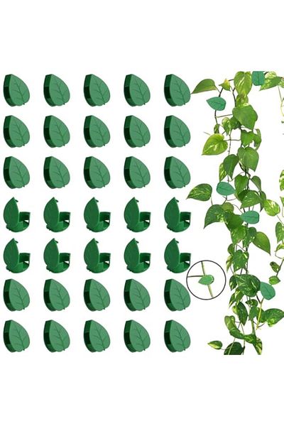 Generic Homarket 100PCS Garden Plant Climbing Wall Fixture Clips, Invisible Self-Adhesive Fixer Sticky Hook