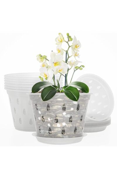 Generic وعاء السحلبية، عبوة من 5 أوعية سحلبية مقاس 5 بوصات، أوعية سحلبية بفتح...