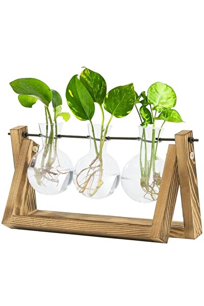 Generic Bamworld Plant Stand Terrarium Plant Holder Plant Propagation Station...