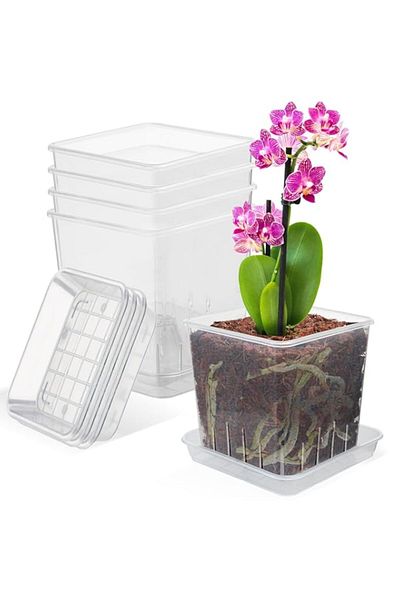 Generic 5 Pack 5 Inch Clear Plastic Plant Pots with Holes and Saucers – Breathable Orchid Pots for Indoor P