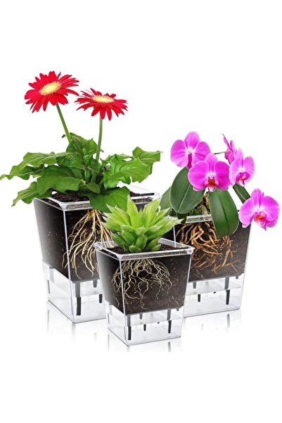 Generic مجموعة أواني نباتات ذاتية الري من YHCG، عبوة من 3 قطع، أواني زراعة شف...