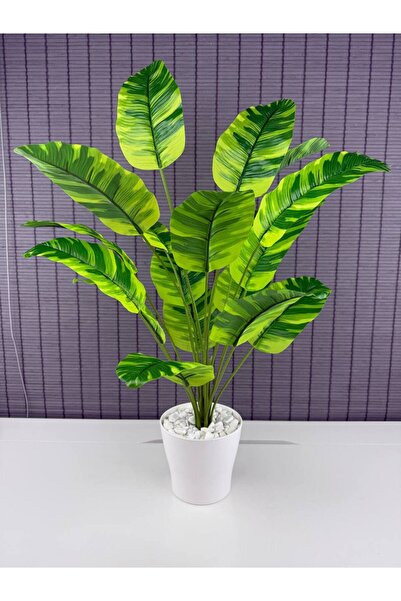 Bahçem Yapay Yapraklı Starliçe Muz Desenli Çizgili Yaprak Beyaz Saksılı 65cm 18 Yaprak