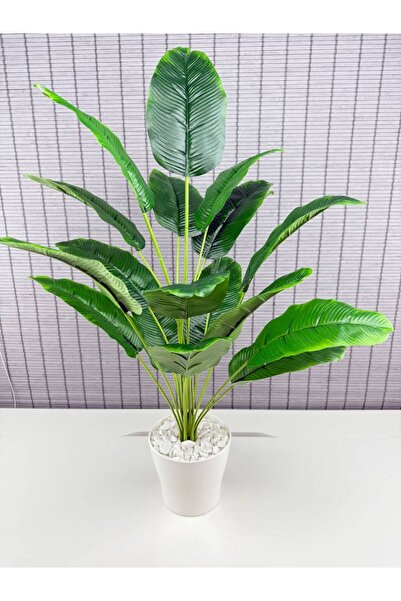Bahçem Yapay Çiçek Starliçe Salon Çiçeği Beyaz Saksılı Yapay Bitki 18 Yaprakl...