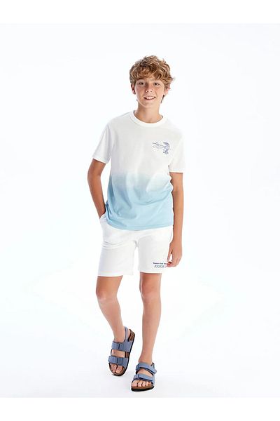 LC Waikiki Lcw Kids Blue Crew Neck Boys T-Shirt & Shorts
