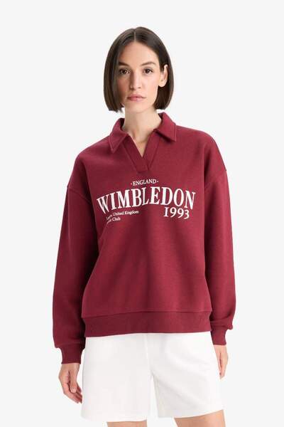 DeFacto Relax Fit Polo Yaka Baskılı Kalın Sweatshirt F1063AX25AU